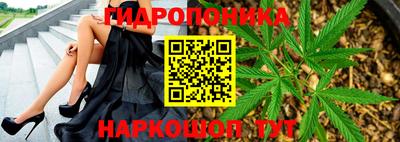 амф Гатчина