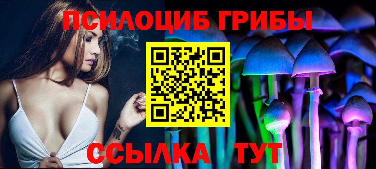 Новочеркасск  Псилоцибиновые грибы MAGIC MUSHROOMS  где купить наркоту  Вход с VPN 